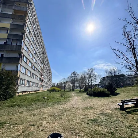 Matejki * Svinoústí