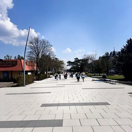 Matejki * Svinoústí